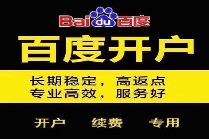 百度竞价代理操作手册：成功案例分析