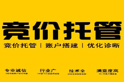 竞价推广中的关键词选择与优化：成功案例揭秘